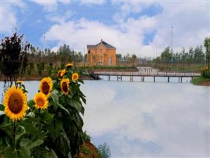 Image-2