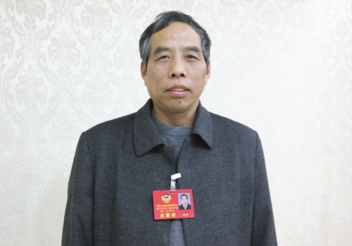 部分县政协委员访谈王金义